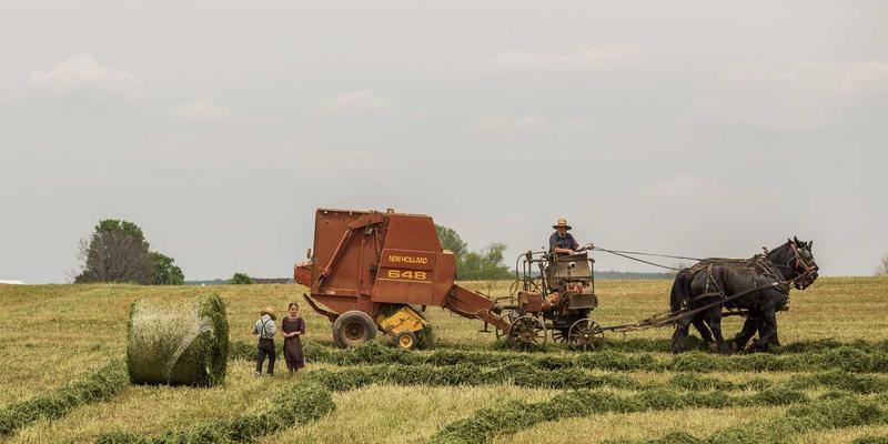 冬季北海道自由行全攻略:7天6夜梦幻雪国之旅,预算与行程一次掌握