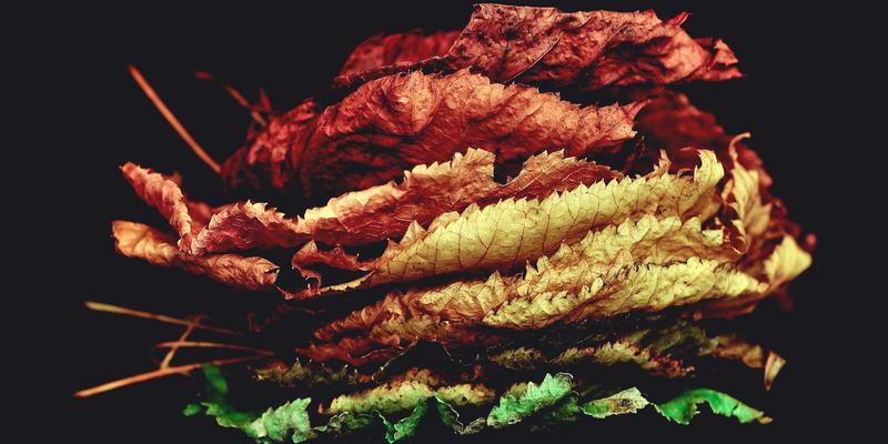 冬季北海道自由行攻略：7天6夜复古之旅，预算与行程全解析