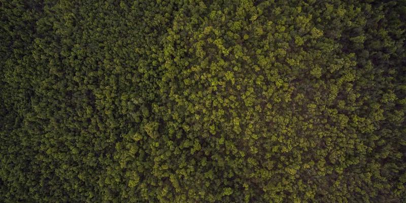 肯尼亚动物大迁徙终极指南：马赛马拉自由行全攻略与摄影秘籍