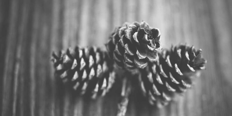 苏格兰高地自驾全攻略：7天解锁城堡、威士忌与尼斯湖秘境之旅