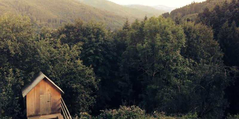 银发族出游全攻略：精选景点推荐与舒适小旅程规划